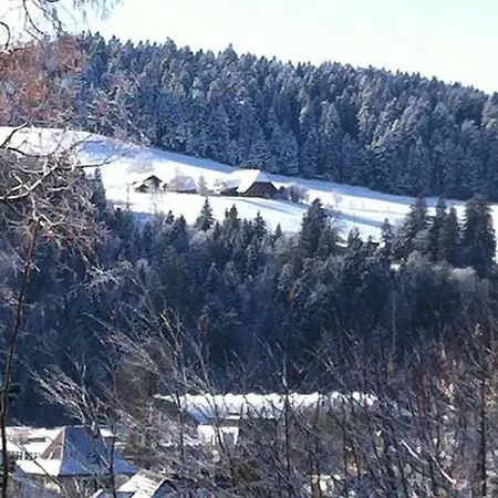 Haus Wagner Langnau
